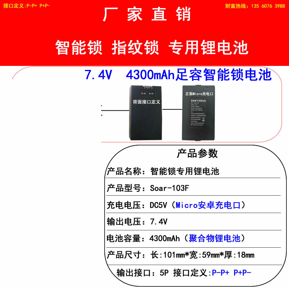 4300mAh-103F��P-P+ P+P-��